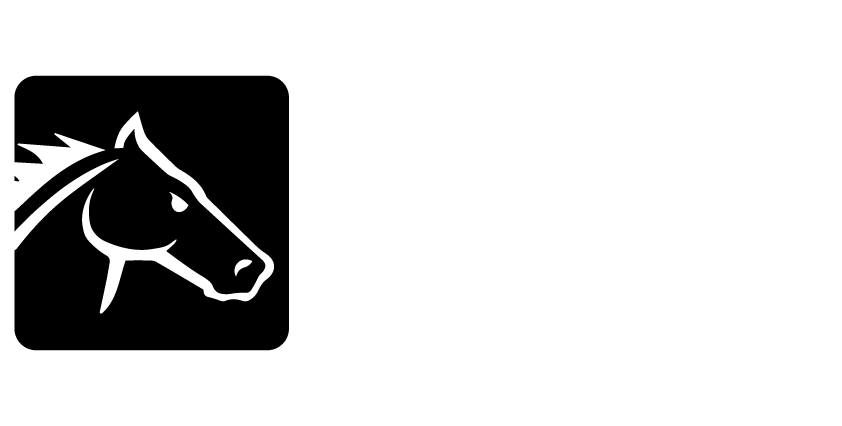 Net Motors